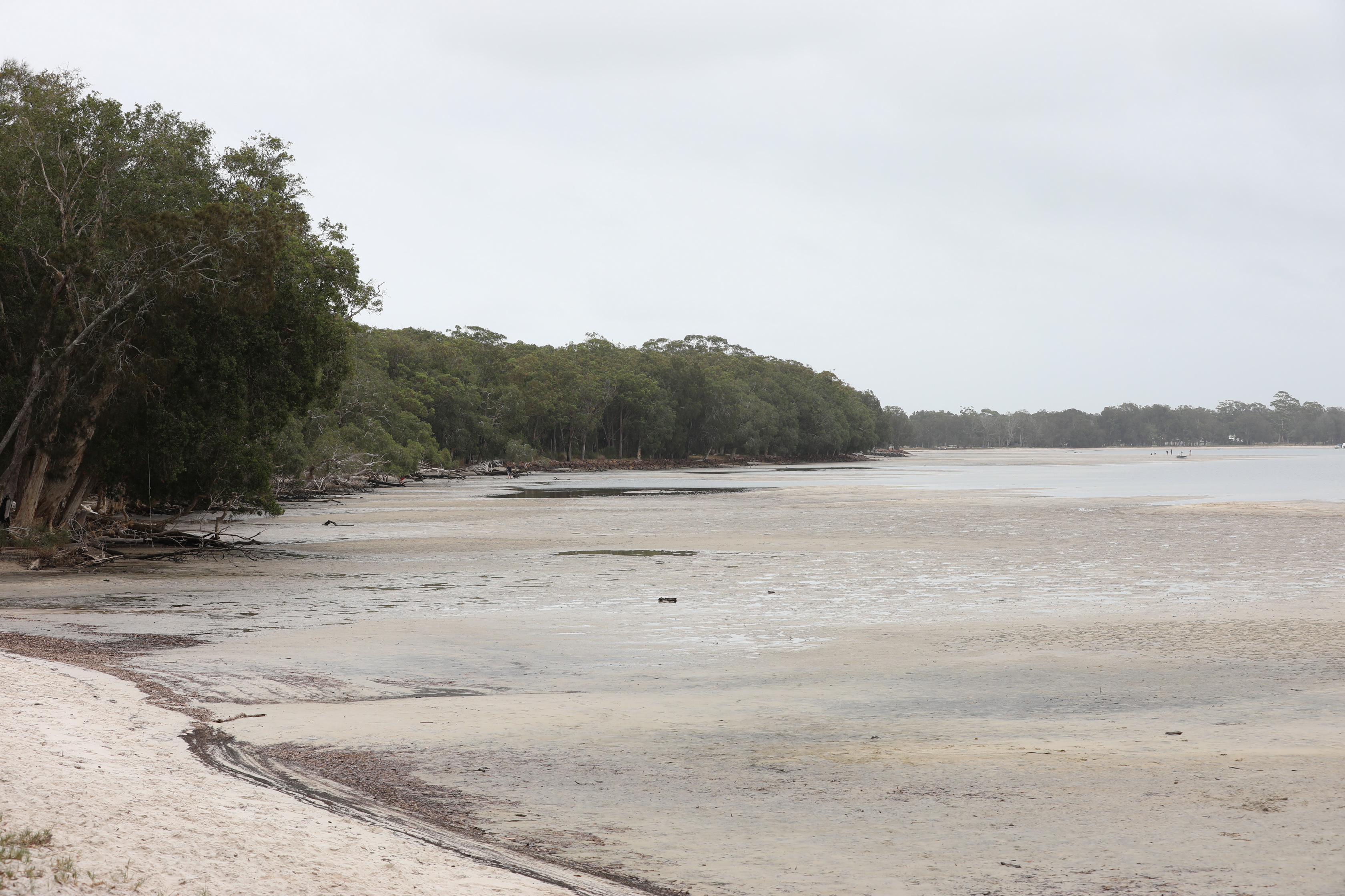 2020 01 06 13 33 45 Canon EOS 5D Mark IV 0003